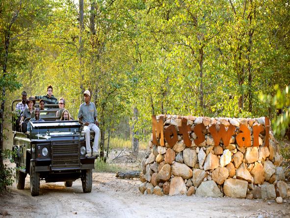 Motswari Game Lodge - Game Drive 